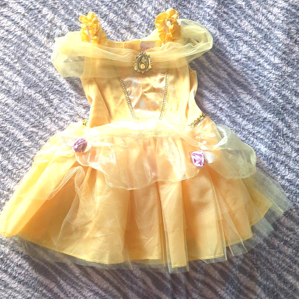 Disney princess Belle costume dress